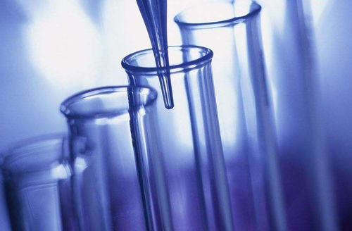 2205、2507、254SM0、904L等特殊鋼的腐蝕試驗研究